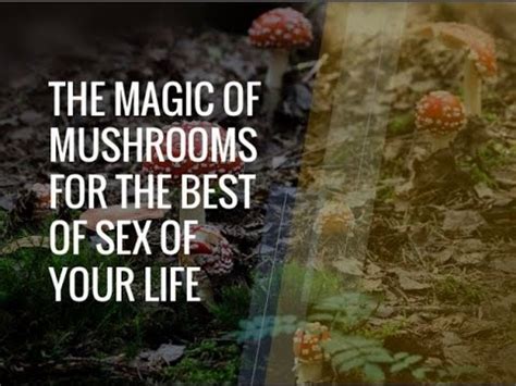 mushroom sex video